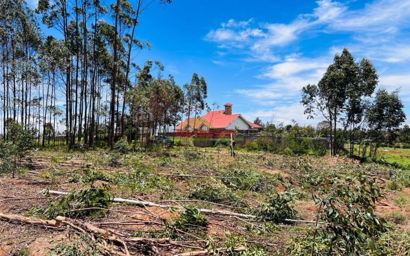 50 X 100fts Plots For Sale In Kikuyu, Gikambura.