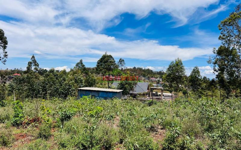 50 X 100fts Plots For Sale In Kikuyu, Gikambura.