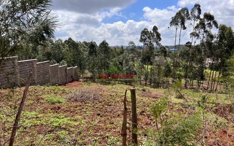 Prime Residential Plot For Sale In Kikuyu , Kamangu.