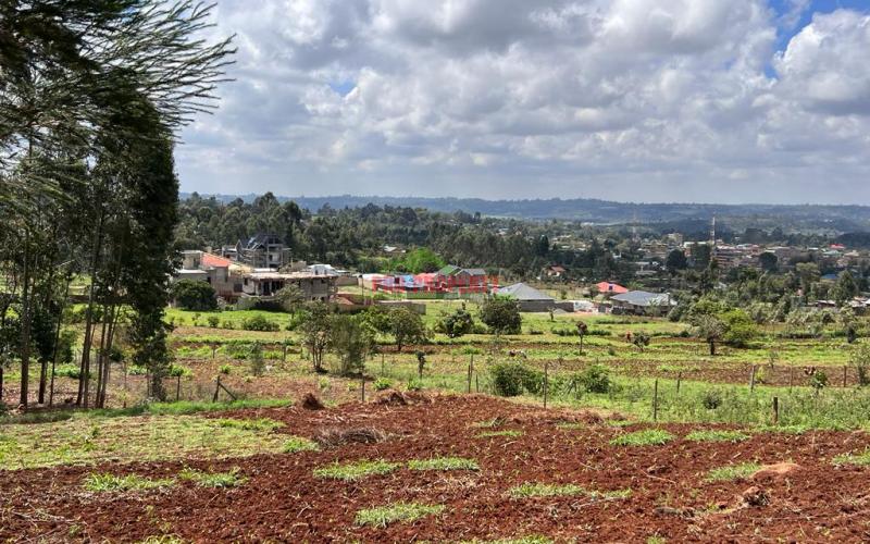 Prime Residential Plot For Sale In Kikuyu , Kamangu.