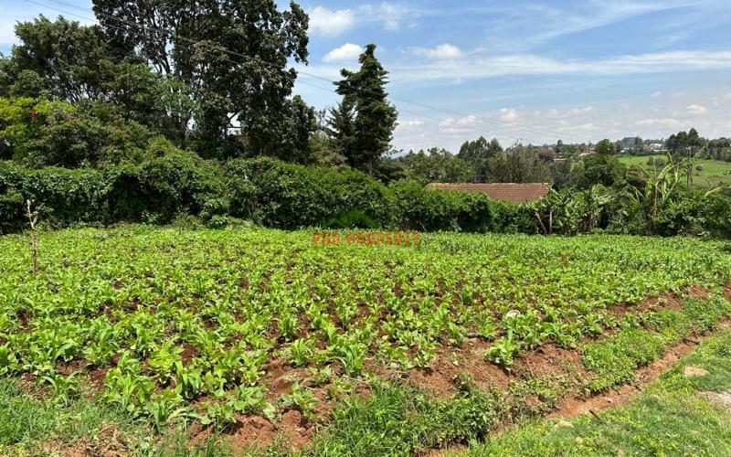 Prime Commercial Plot In Kikuyu Town.