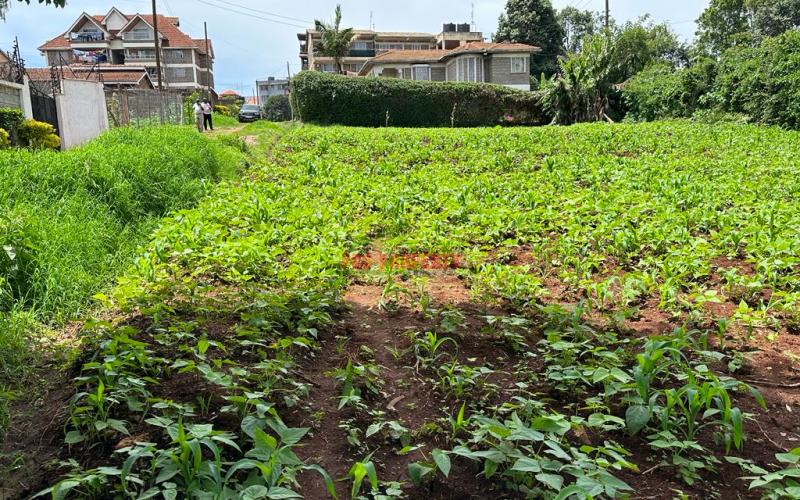 Prime Commercial Plot In Kikuyu Town.