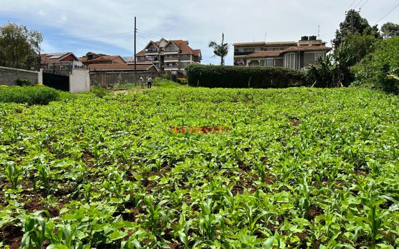 Prime Commercial Plot In Kikuyu Town.