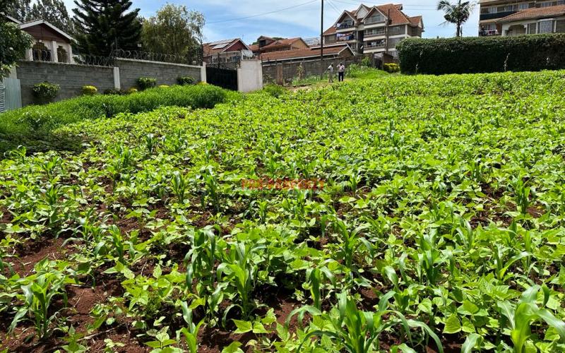 Prime Commercial Plot In Kikuyu Town.