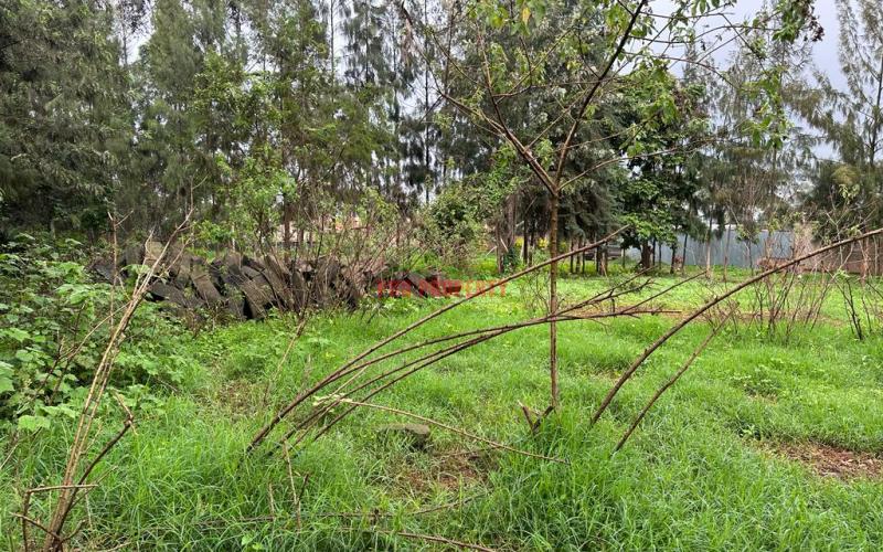 Prime Commercial Plot For Sale In Kikuyu Town.