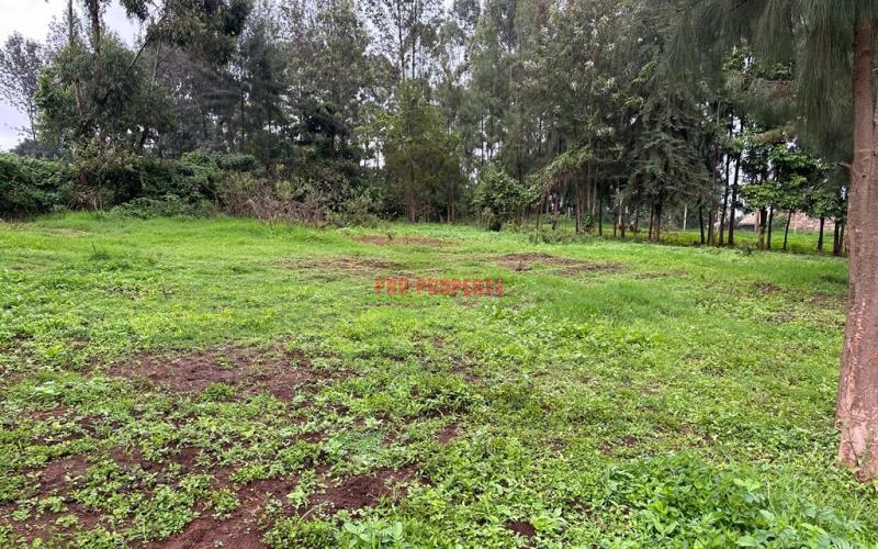 Prime Commercial Plot For Sale In Kikuyu Town.
