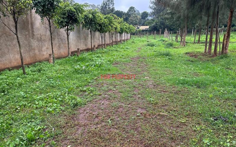Prime Commercial Plot For Sale In Kikuyu Town.