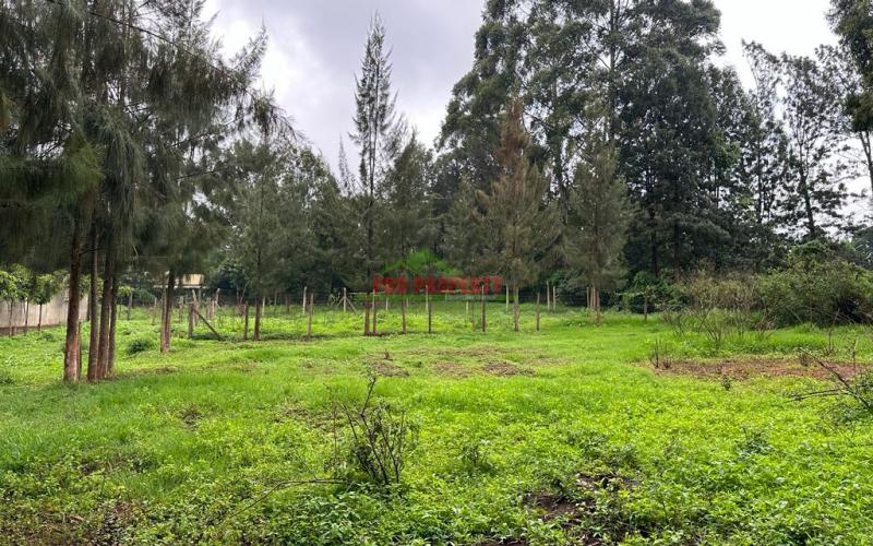 Prime Commercial Plot For Sale In Kikuyu Town.