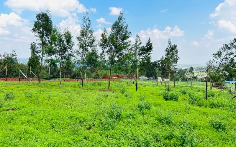 Prime Residential Plots For Sale In Kikuyu, Kamangu.