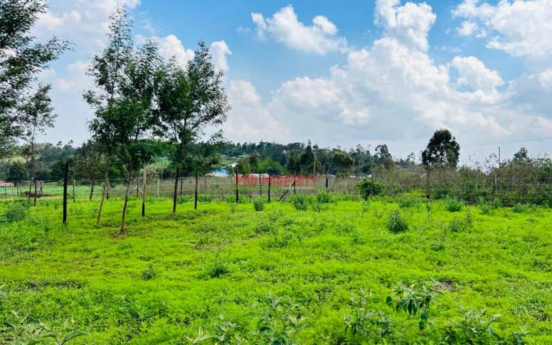 Prime Residential Plots For Sale In Kikuyu, Kamangu.