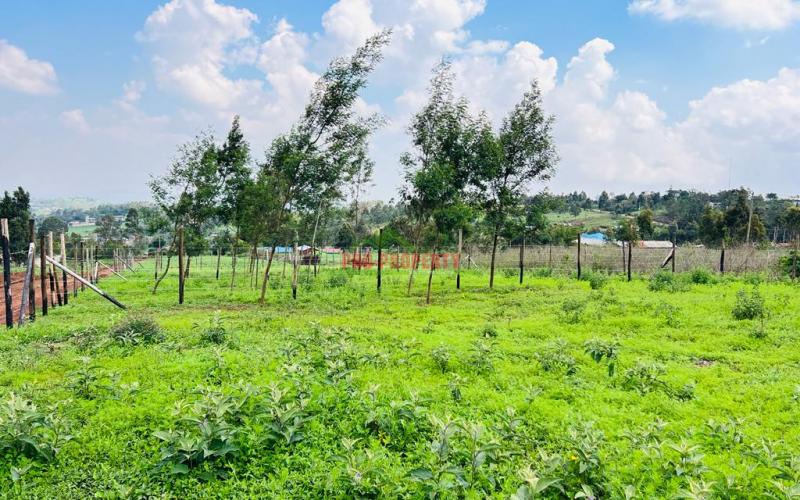 Prime Residential Plots For Sale In Kikuyu, Kamangu.