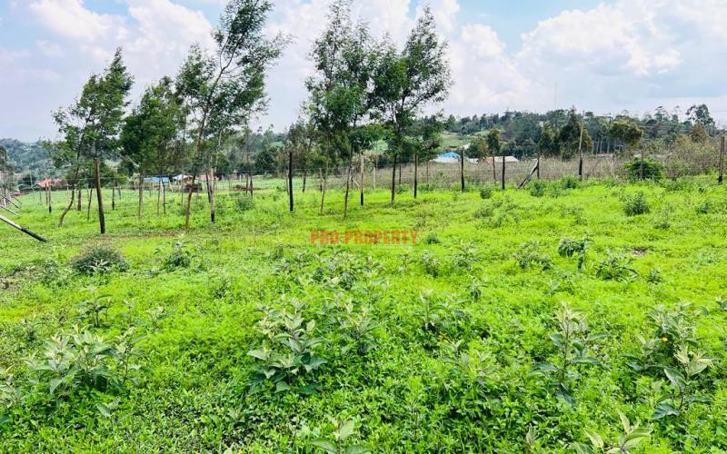 Prime Residential Plots For Sale In Kikuyu, Kamangu.