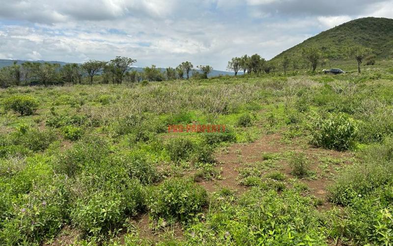 Plots For Sale Near Mai Mahiu Town.
