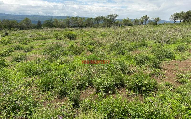 Plots For Sale Near Mai Mahiu Town.