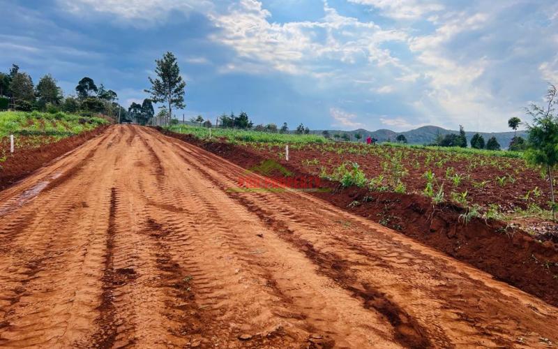 Prime Residential Plots For Sale In Kikuyu, Thigio.