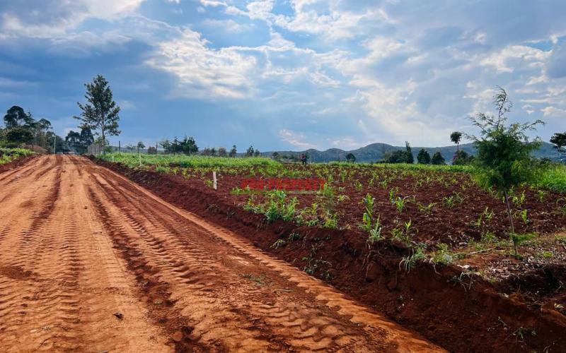 Prime Residential Plots For Sale In Kikuyu, Thigio.