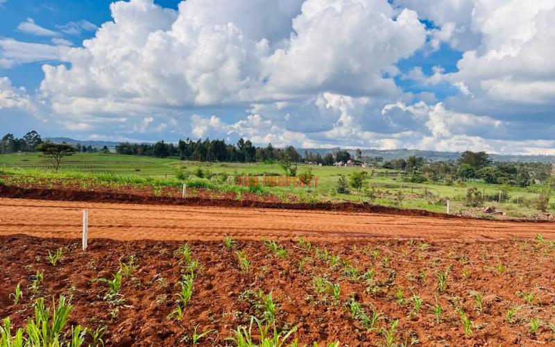 Prime Residential Plots For Sale In Kikuyu, Thigio.