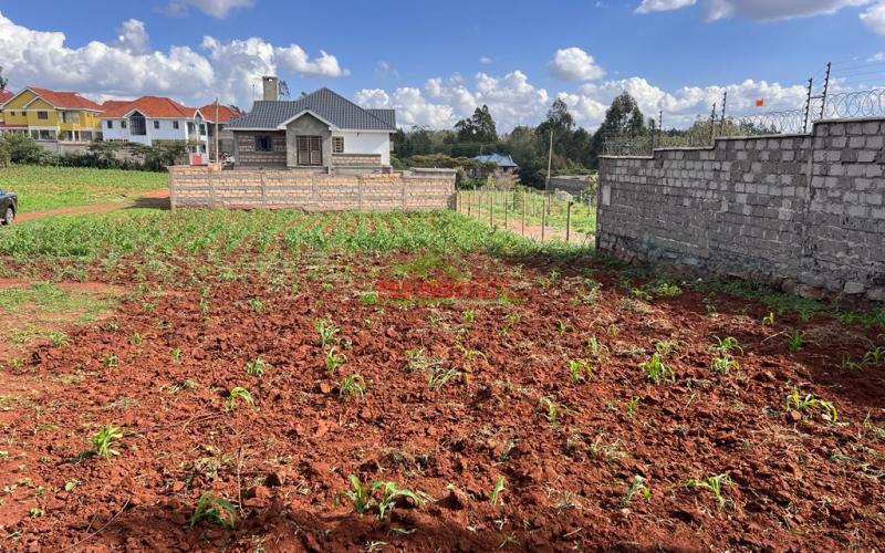 Prime Residential Plot For Sale In Kikuyu, Gikambura.