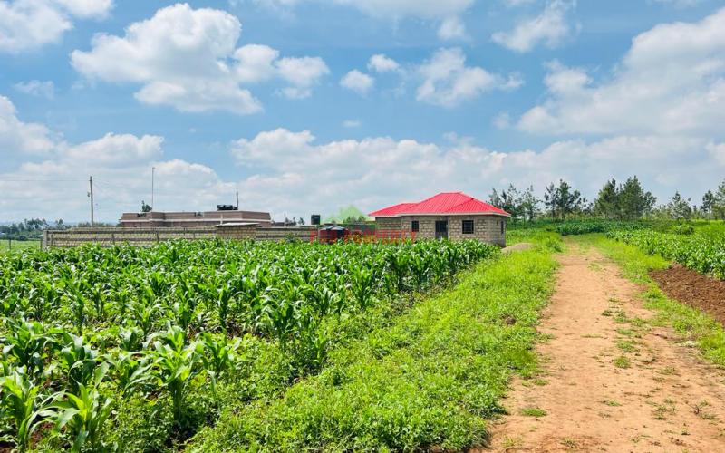 Prime Residential Plot For Sale In Kikuyu, Kamangu.