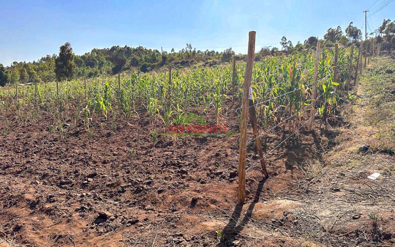 Residential Plots For Sale In Kikuyu ,kamangu.