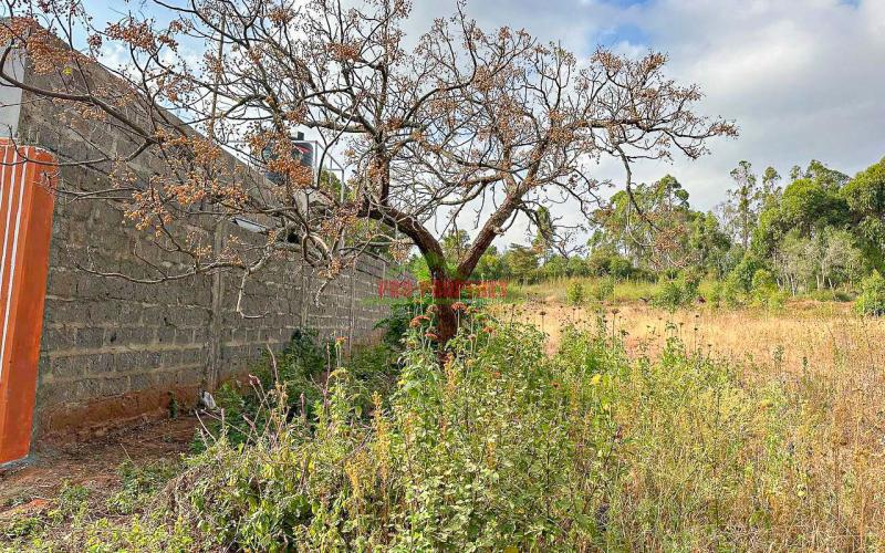 Residential Plots For Sale In Kikuyu, Rose Gate