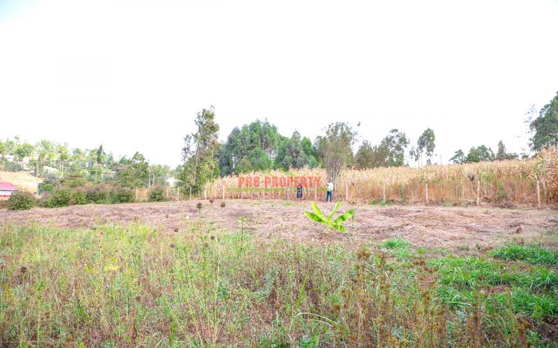 Prime Residential Plots For Sale In Kikuyu ,gikambura