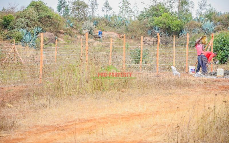 Prime Residential Plots For Sale In Kikuyu, Lusingetti.