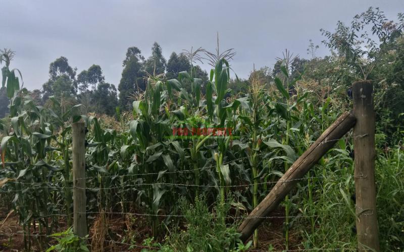 Prime 50 By 100 Plot In Ondiri - Kikuyu