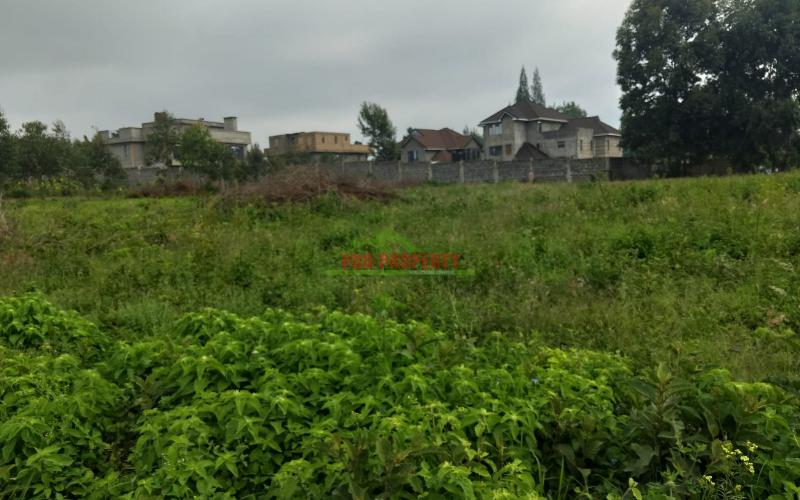 Prime 60 By 100ft Plot For Sale In Ondiri Kikuyu