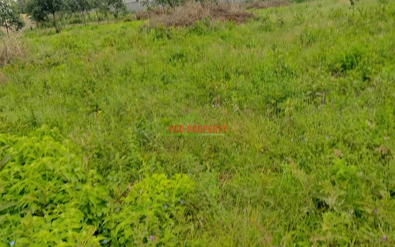 Prime 60 By 100ft Plot For Sale In Ondiri Kikuyu