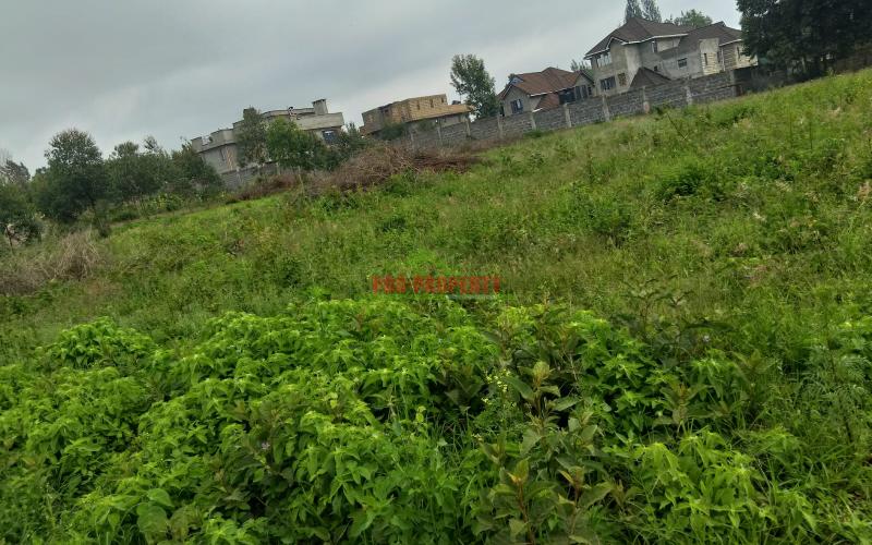 Prime 60 By 100ft Plot For Sale In Ondiri Kikuyu