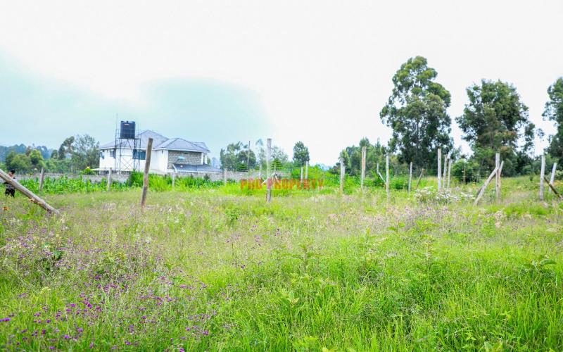 Prime Residential Plot For Sale In Kikuyu, Lusigetti.