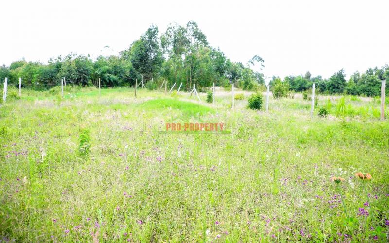 Prime Residential Plot For Sale In Kikuyu, Lusigetti.
