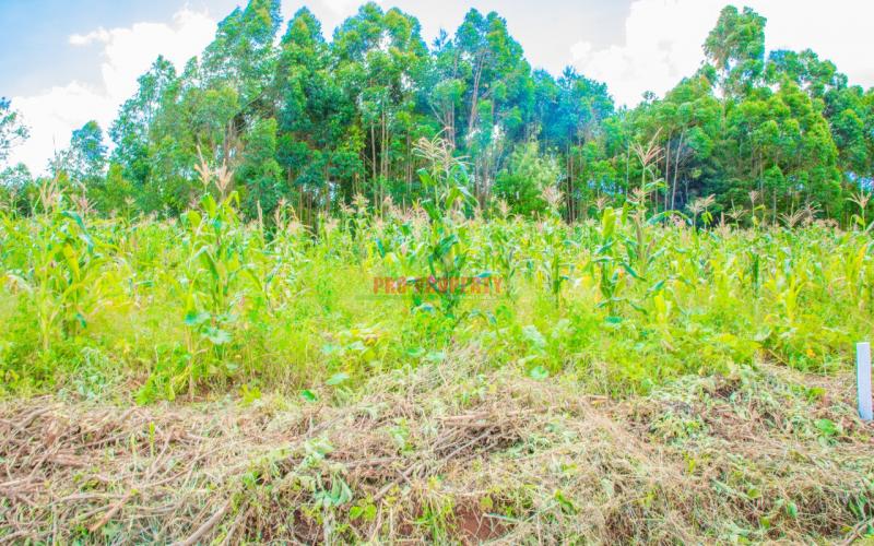 Prime 50 By 100 Plots In Kikuyu- Gikambura