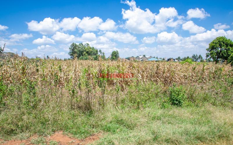 Prime Plot Up For Grabs In Kamangu