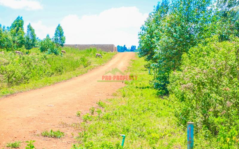 Prime50 By 100 Plots For Sale In A Gated Community In Kikuyu Gikambura