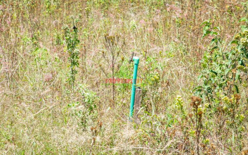 Prime 50 By 100 Plots For Sale In Kikuyu Kamangu