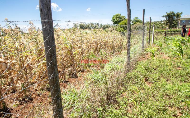 Prime 60 By 100 Sq Ft For Sale In Kikuyu Kamangu
