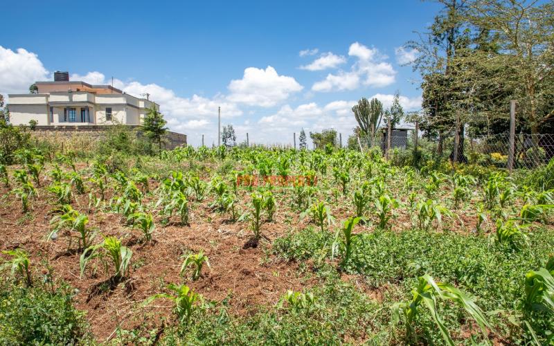 Prime 60 By 100 Sq Ft For Sale In Kikuyu Kamangu