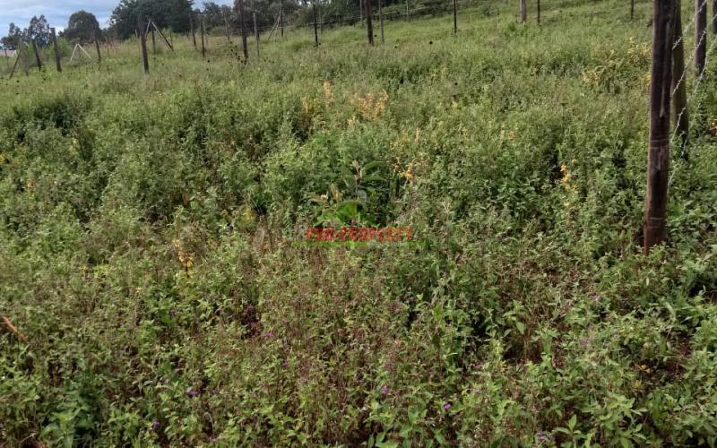 Prime 50 By 100 Sq Ft Residential Plots For Sale In Kikuyu Lusingetti.