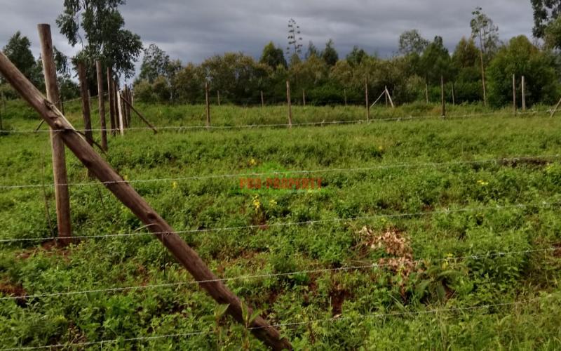 Prime 50 By 100 Sq Ft Residential Plots For Sale In Kikuyu Lusingetti.
