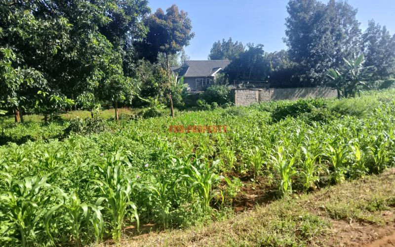 Prime 50x100 Sq Ft Plot For Sale In Kikuyu Gikambura