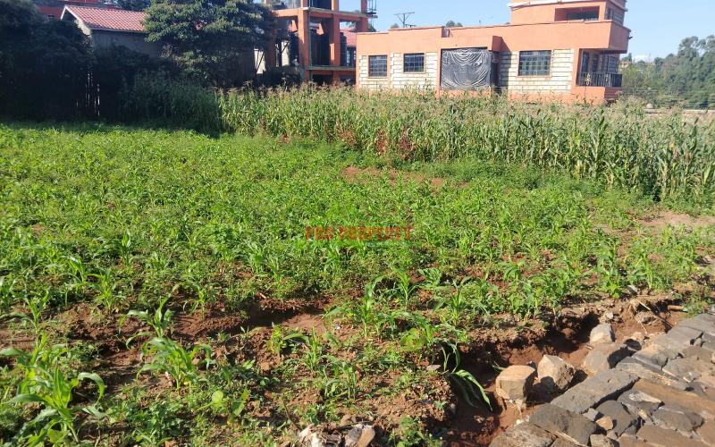 Prime 100x100 Sq Ft Plot For Sale In Kikuyu Gikambura