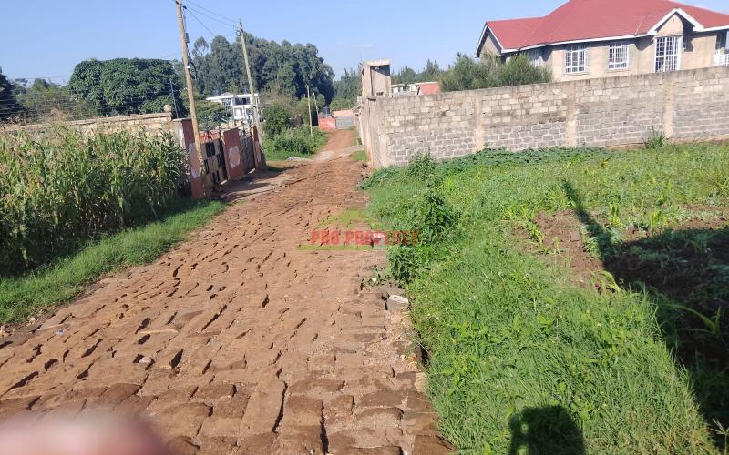 Prime 50x100 Sq Ft Plot For Sale In Kikuyu Gikambura