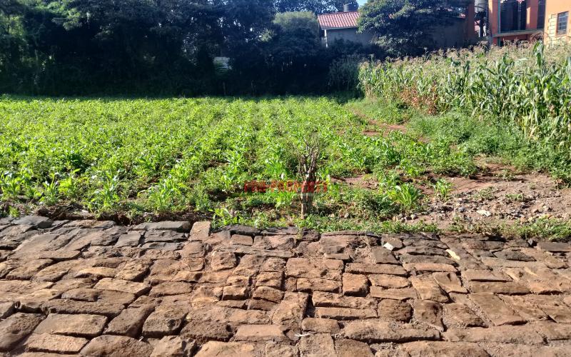 Prime 50x100 Sq Ft Plot For Sale In Kikuyu Gikambura