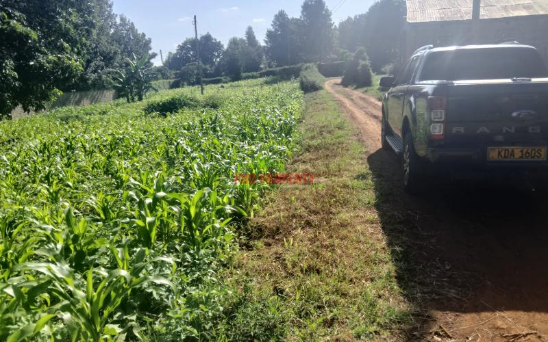 Prime 100x100 Sq Ft Plot For Sale In Kikuyu Gikambura
