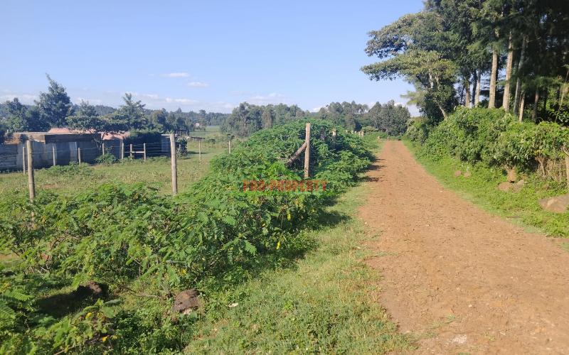 Prime 80x100sq Ft Plot For Sale In Kikuyu Gikambura