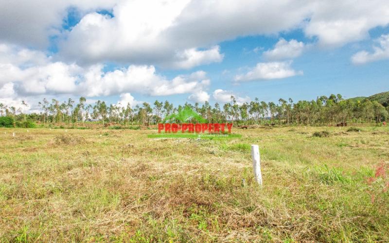 Prime 50 By 100 Plots For Sale In Kikuyu Nguirubi In A Gated Community