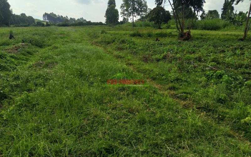 Prime 50 By 100 Plots For Sale In Kikuyu Ondiri