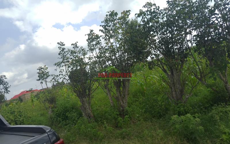 Prime 50 By 100 Plot For Sale In Kamangu Kikuyu